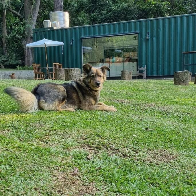 Casa Container Na Represa De Guarapiranga! Sonho! Villa São Paulo Exteriör bild