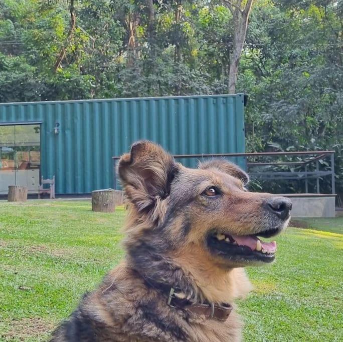 Casa Container Na Represa De Guarapiranga! Sonho! Villa São Paulo Exteriör bild